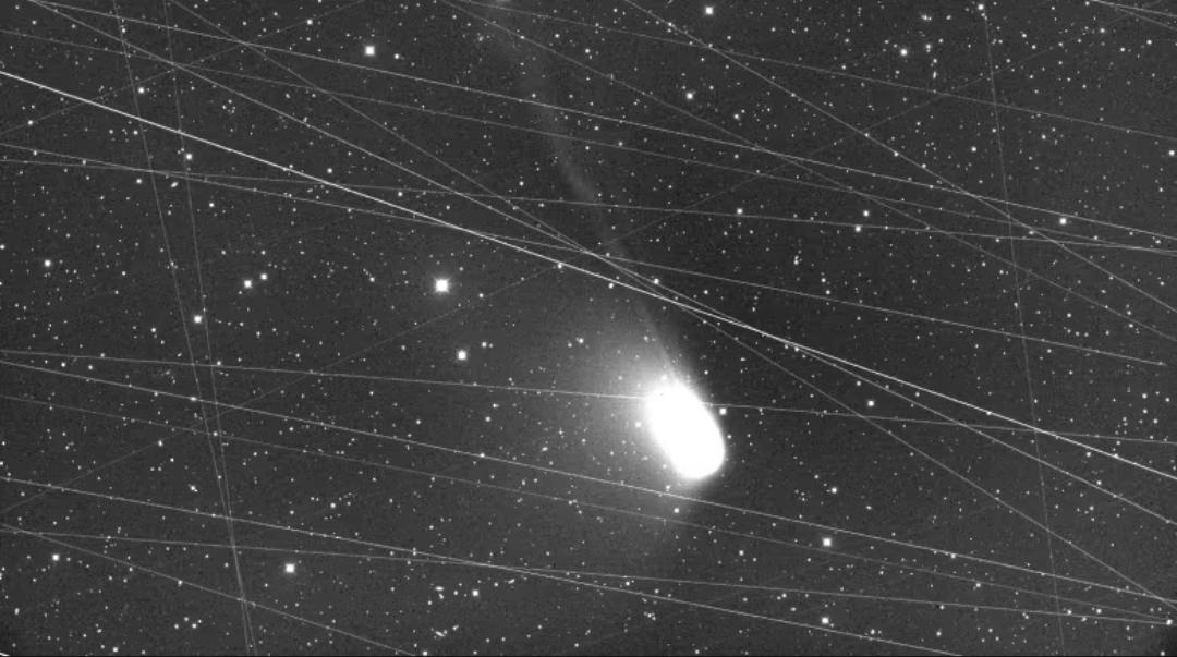 The Dark Side of Starlink